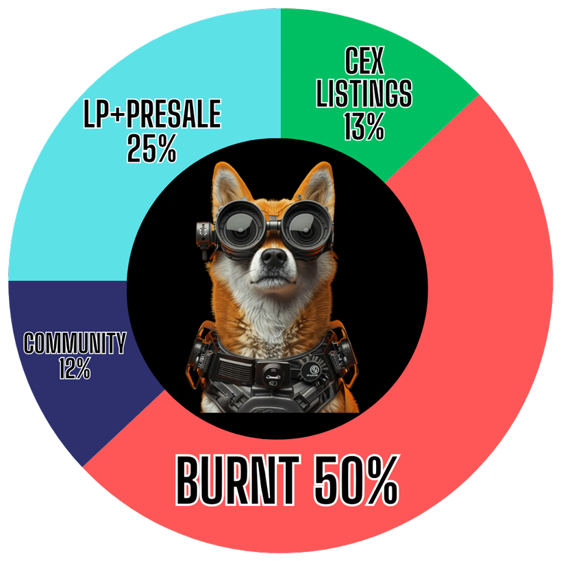 SORADOGE TOKENOMICS 1